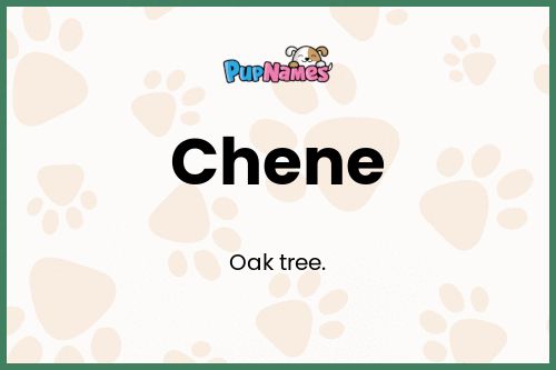 Chene dog name meaning