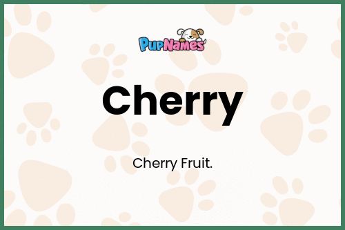 Cherry dog name meaning