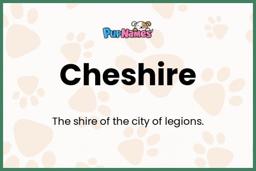 Cheshire dog name meaning