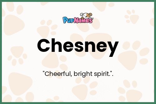 Chesney dog name meaning