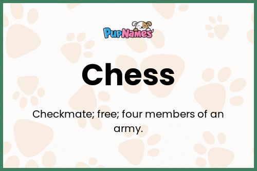 Chess dog name meaning