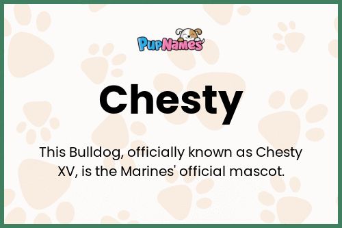 Chesty dog name meaning