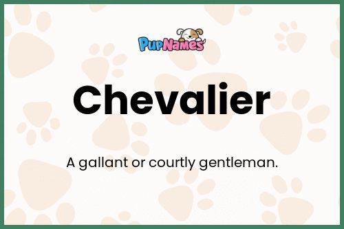 Chevalier dog name meaning