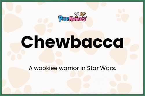 Chewbacca dog name meaning