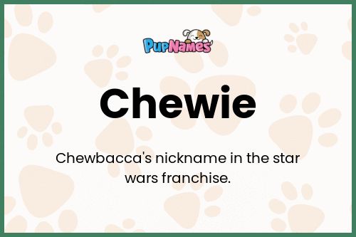 Chewie dog name meaning