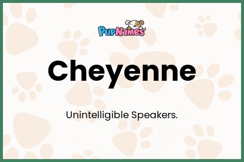 Cheyenne dog name meaning