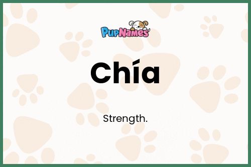 Chía dog name meaning