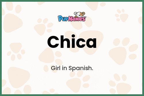 Chica dog name meaning