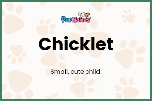 Chicklet dog name meaning