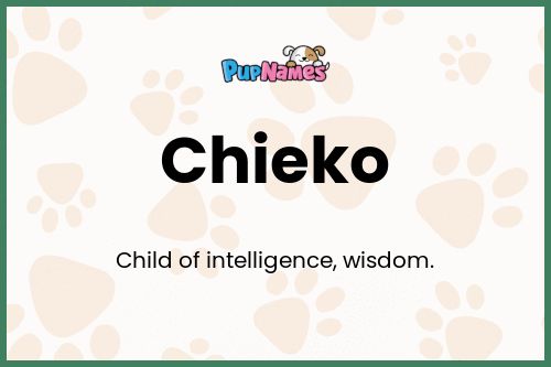 Chieko dog name meaning