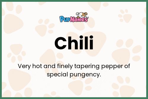 Chili dog name meaning