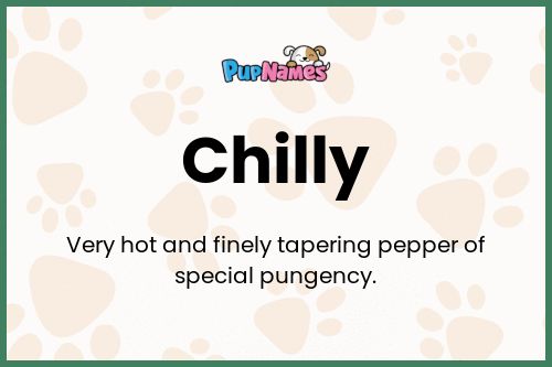 Chilly dog name meaning