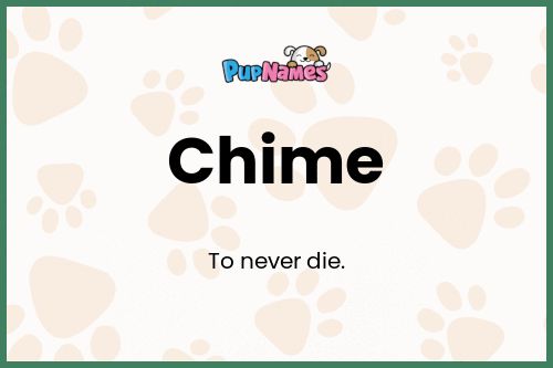 Chime dog name meaning