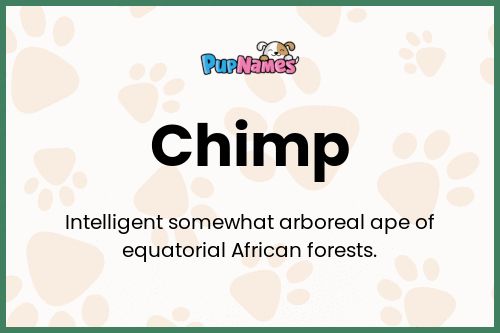 Chimp dog name meaning