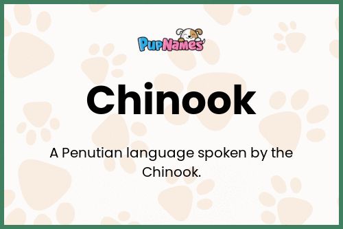 Chinook dog name meaning