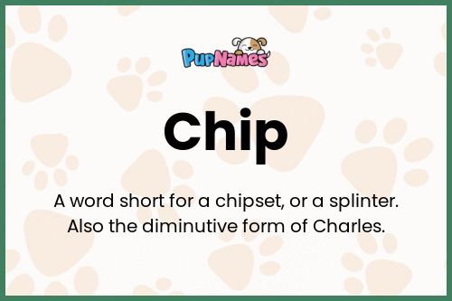 Chip dog name meaning