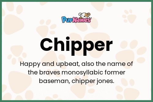 Chipper dog name meaning