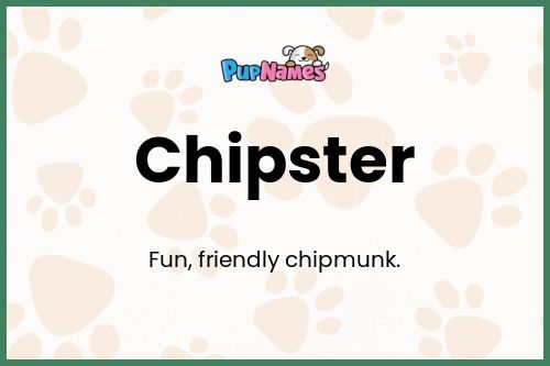 Chipster dog name meaning