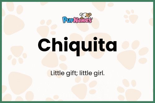 Chiquita dog name meaning