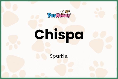 Chispa dog name meaning