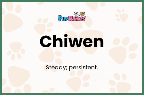 Chiwen dog name meaning