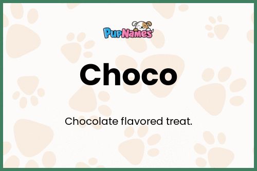 Choco dog name meaning