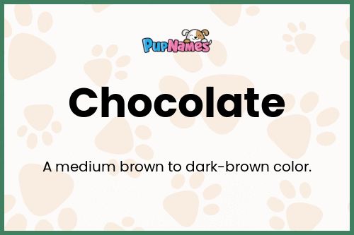 Chocolate dog name meaning