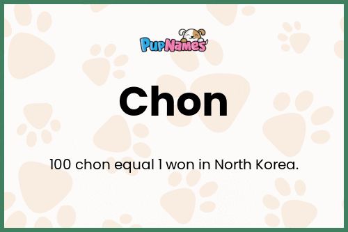 Chon dog name meaning