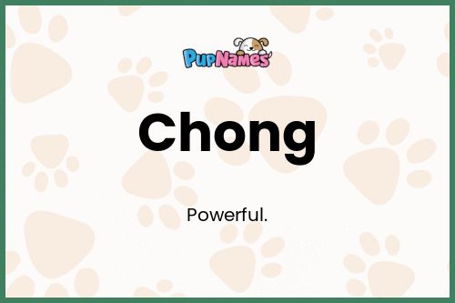 Chong dog name meaning