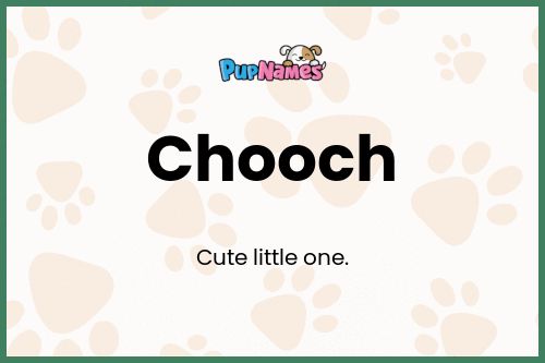 Chooch dog name meaning