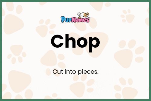 Chop dog name meaning