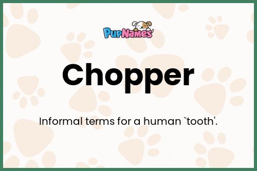 Chopper dog name meaning