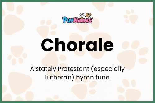 Chorale dog name meaning