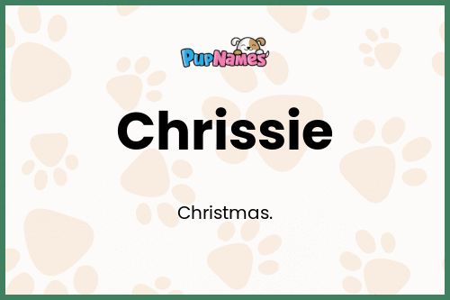 Chrissie dog name meaning