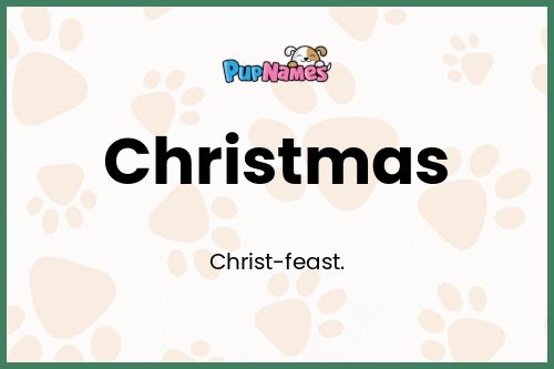 Christmas dog name meaning