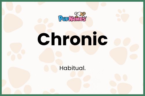 Chronic dog name meaning