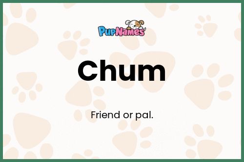 Chum dog name meaning