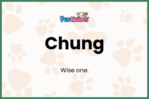 Chung dog name meaning