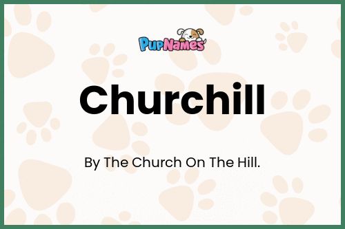 Churchill dog name meaning