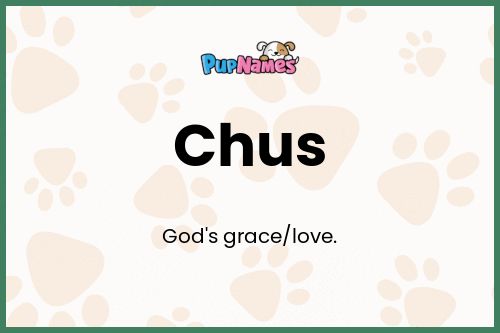 Chus dog name meaning
