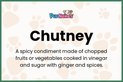 Chutney dog name meaning