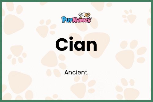 Cian dog name meaning