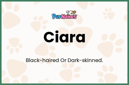 Ciara dog name meaning