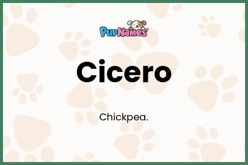 Cicero dog name meaning