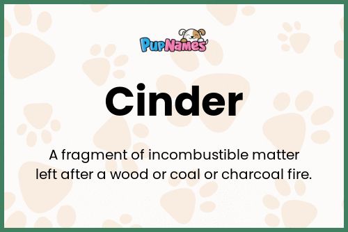 Cinder dog name meaning