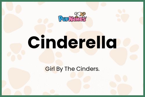 Cinderella dog name meaning