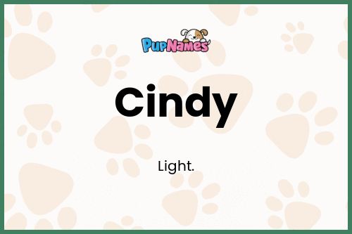 Cindy dog name meaning