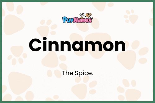 Cinnamon dog name meaning