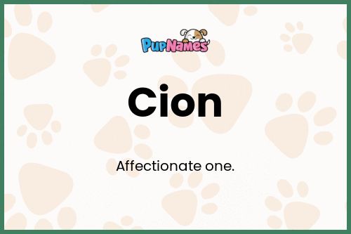 Cion dog name meaning