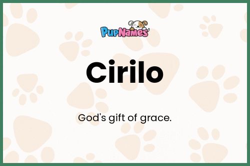 Cirilo dog name meaning